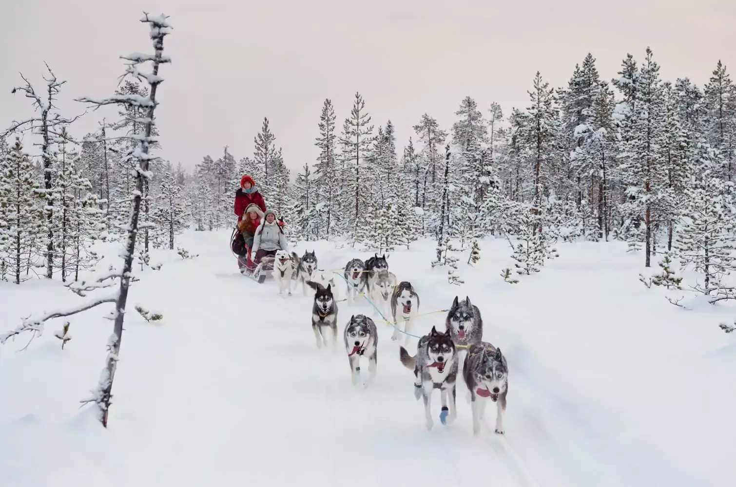 Reisetipps Schweden – Stadt, Land, Action!