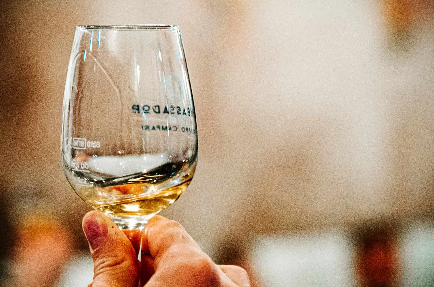 Whisky richtig genießen